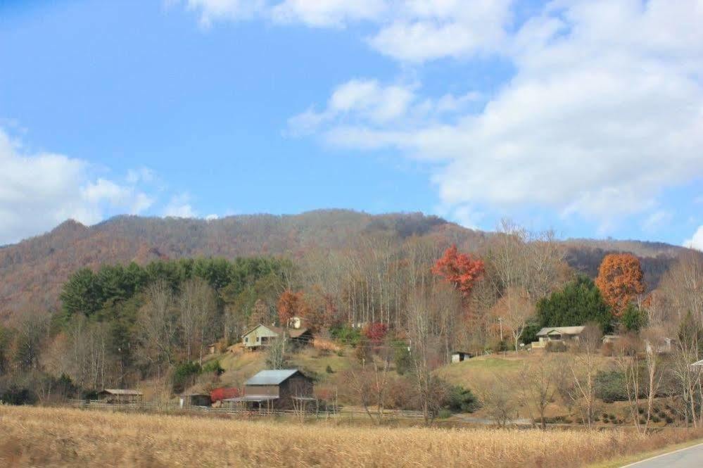 The Yellow House On Plott Creek Waynesville Εξωτερικό φωτογραφία
