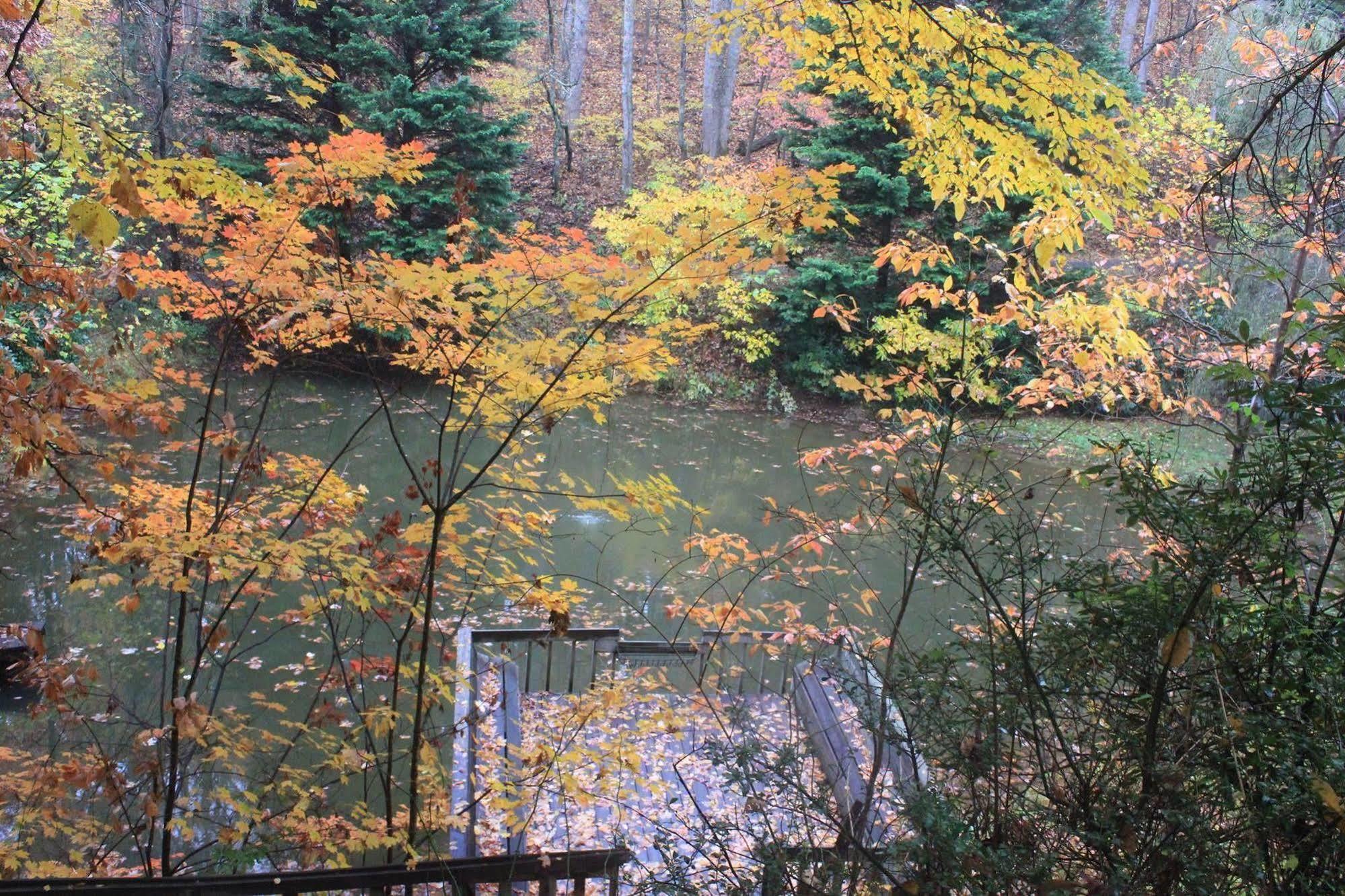 The Yellow House On Plott Creek Waynesville Εξωτερικό φωτογραφία