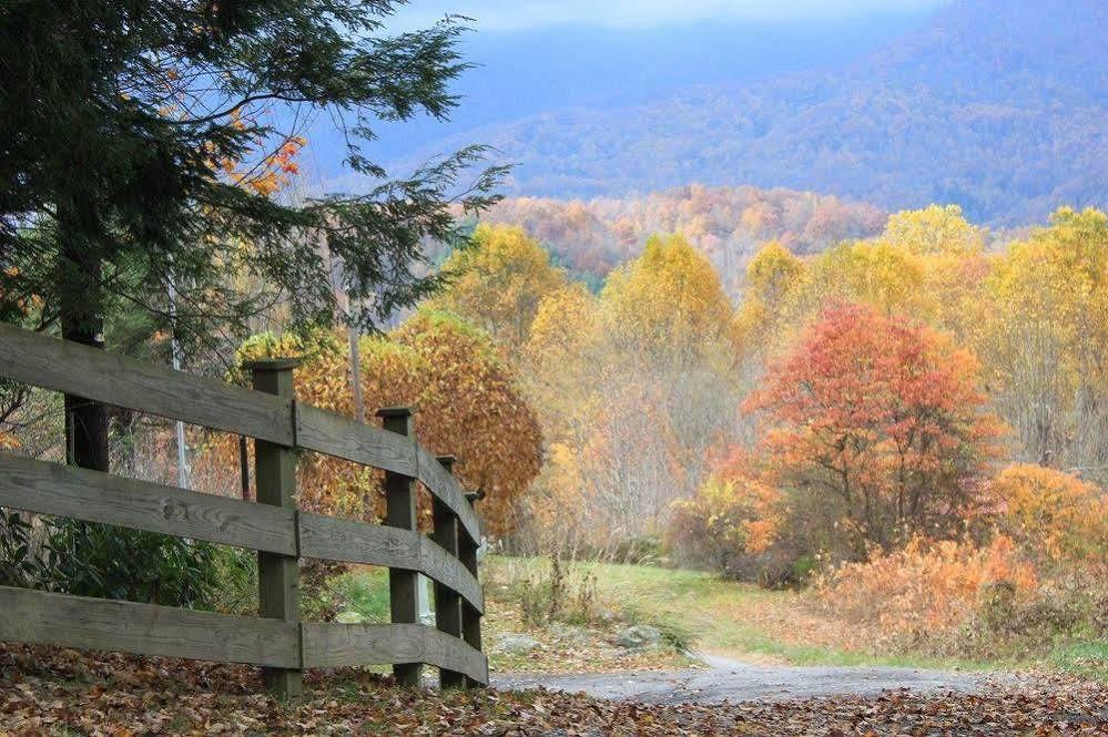 The Yellow House On Plott Creek Waynesville Εξωτερικό φωτογραφία